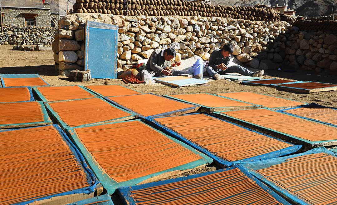 Introduction To Economy Of Tibet Tibet Universal Travel Tours